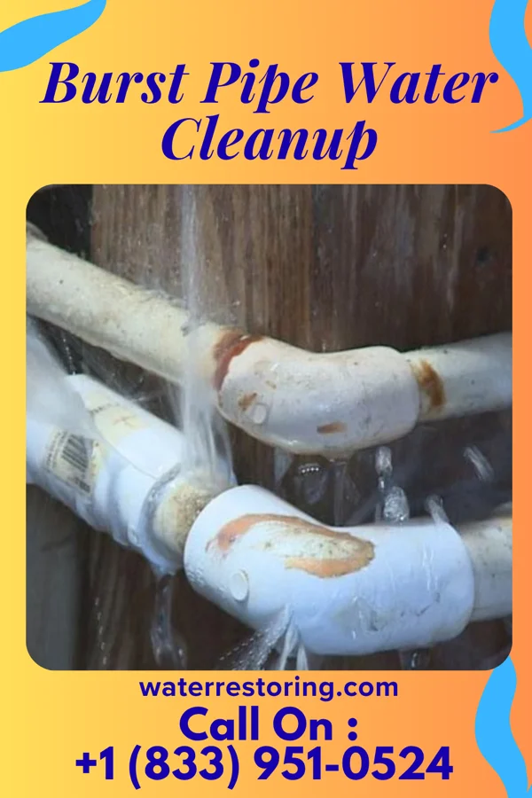 Burst Pipe Water Cleanup in Lake Caroline, VA